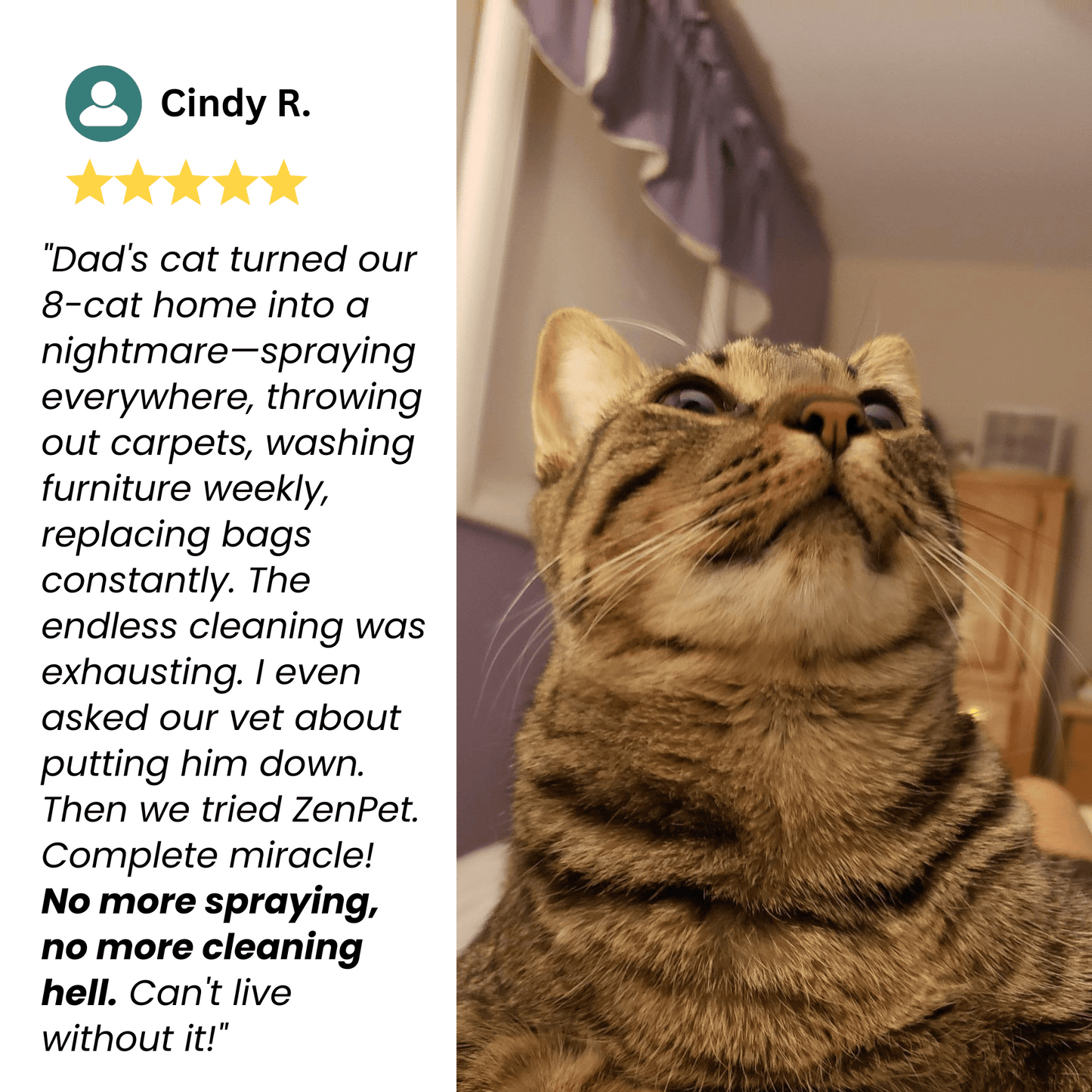 ZenPet™ Harmony Diffuser Kit