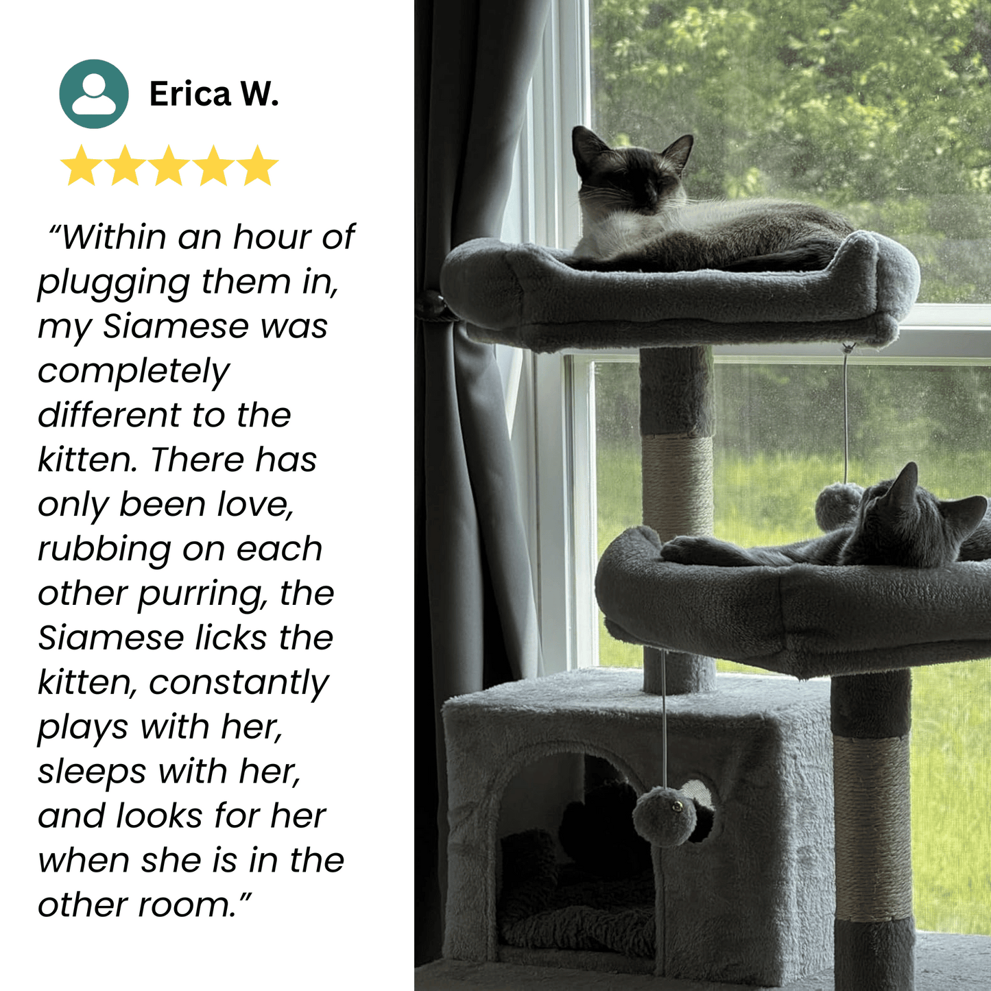 ZenPet™ Harmony Diffuser Kit