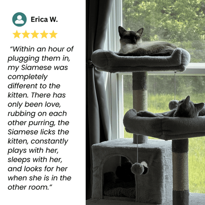 ZenPet™ Harmony Diffuser Kit
